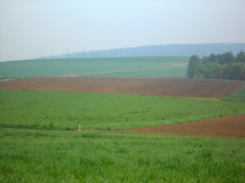 ochtendwandeling3.jpg
