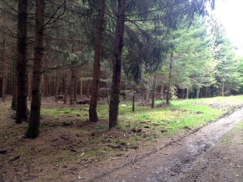 wandelingbarragenisramont20.jpg
