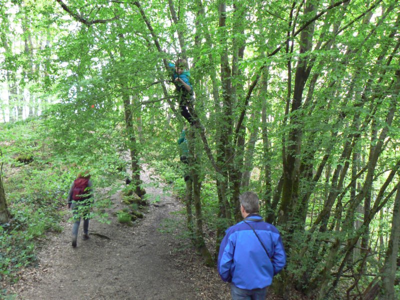 wandelingbarragenisramont8.jpg