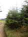 wandelingnisramont11_small.jpg