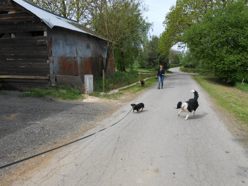 wandelingnisramont3.jpg