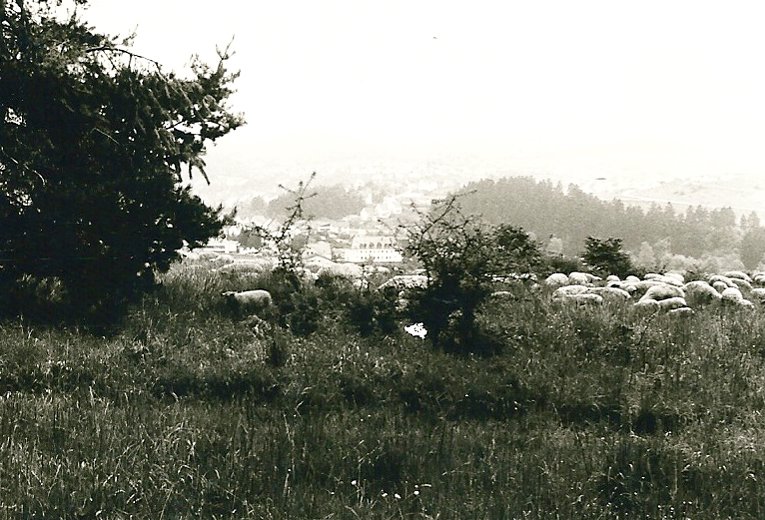 eifelgerolsteinwandeling1.jpg