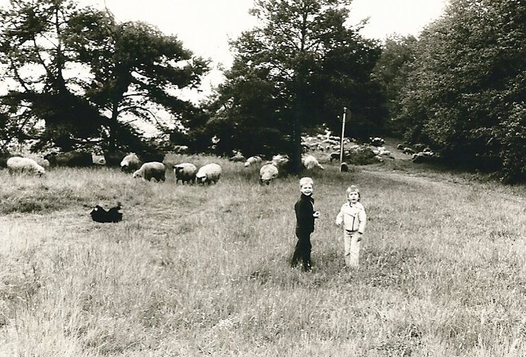 eifelgerolsteinwandeling2.jpg