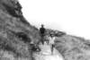 cornwallkilkhamptoncastlekingarthur3_small.jpg