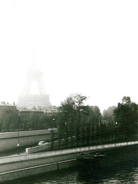 parijseifeltoren2.jpg