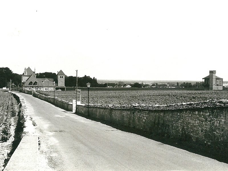 bourgognedaroiscotedor2.jpg