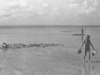 normandiejullouvilestrand2emmertjeswaterhalen_small.jpg