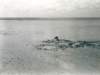 normandiejullouvilestrandhelga_small.jpg