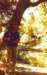 dromealboncampingsenaud4_small.jpg