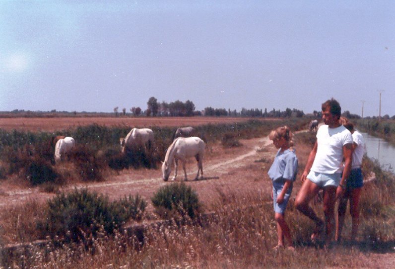 luberonmallemortecamarque1.jpg