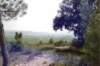 languedocvillerougelacremade2_small.jpg