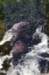 luberonaptfontainedevaucluse4_small.jpg