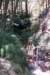 luberonapthelga1_small.jpg