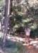 luberonapthelga3_small.jpg