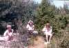 luberonaptpicknick1_small.jpg