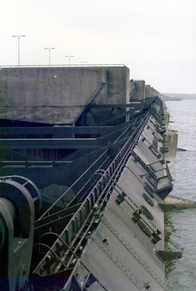 zeelandneeltjejans2.jpg