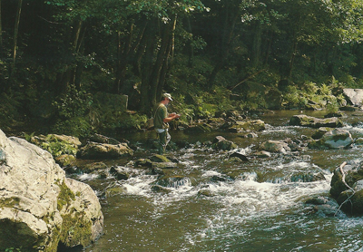 ourthe