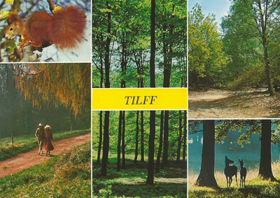 Tilff