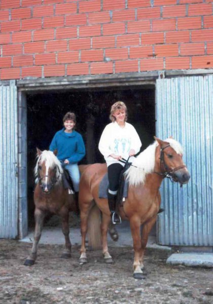metdepaardenhoogdedordognein.jpg