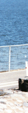 header links