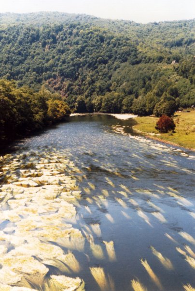 argentatkanoenopdedordogne.jpg