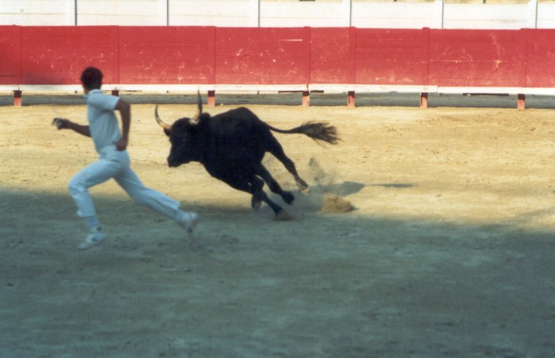 arlesarenarazateurs2.jpg