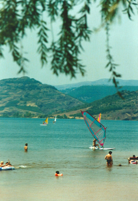 surfen