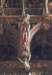 bretagnelefaouetchapellestfiacremaagdmaria_small.jpg