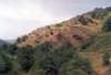 cevennesentrayguessurlotomgeving2_small.jpg