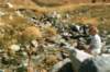 pyreneeslarunswandeling13_small.jpg