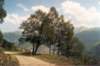 pyreneeslarunswandeling22_small.jpg