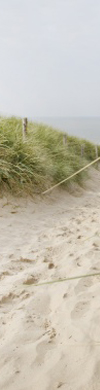 header links