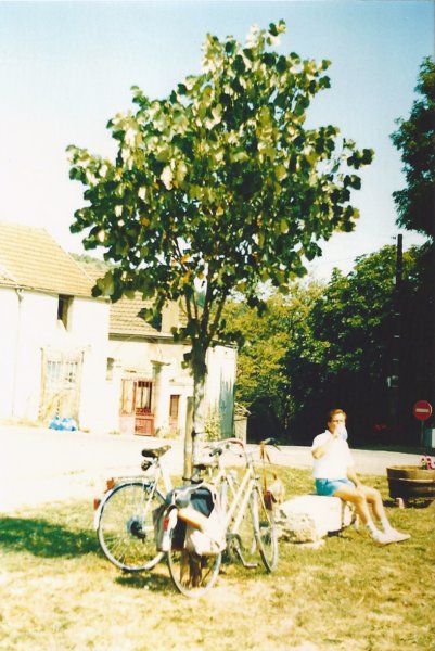 frankrijkchagnyfietstoeromgeving2.jpg