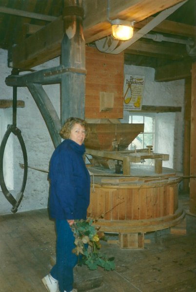 vijlenwatermolen2.jpg