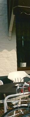 header links