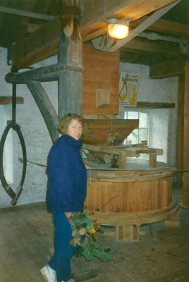watermolen