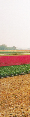 header links