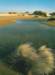 blankenbergenatuurreservaathetzwin_small.jpg