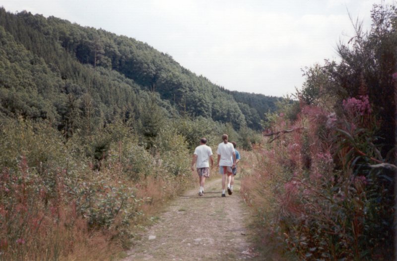 lielerwandelingnaardrielandenpunt.jpg