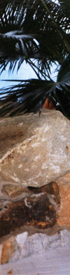 header links