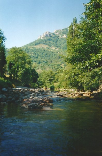 floracaandetarn.jpg