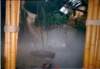 discoverybay11_small.jpg