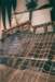 discoverybay2_small.jpg