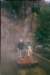 discoverybay9_small.jpg