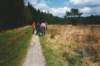 gewandeldwerderook_small.jpg