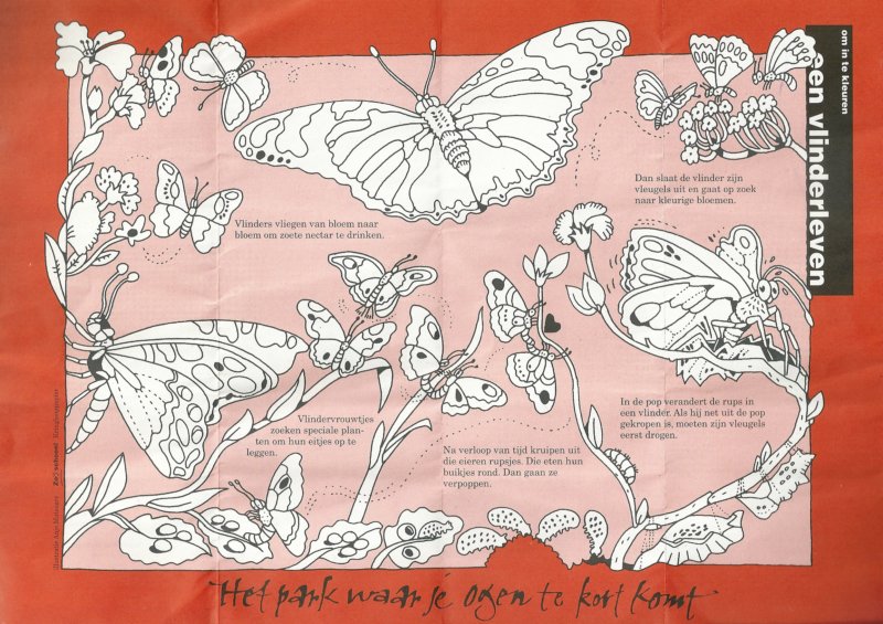 vlindertuin.jpg