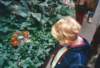 vlindertuininge_small.jpg