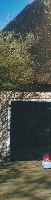 header links