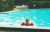 vakantievieren2_small.jpg