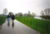 regeninbeesd_small.jpg